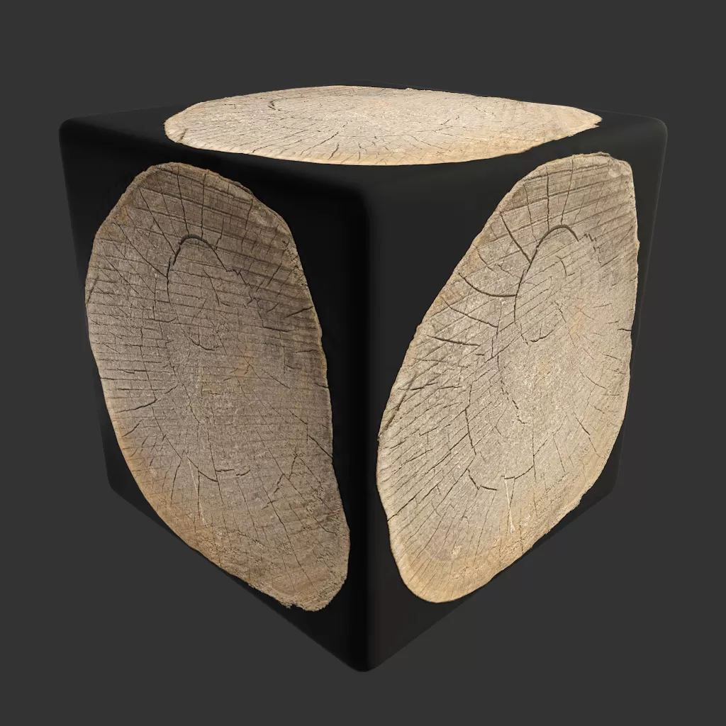 PBR TEXTURES – FULL OPTION – Tree Trunk Cut – 1231