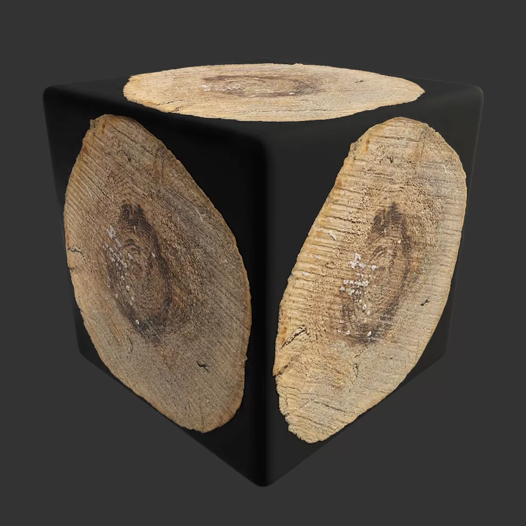 PBR TEXTURES – FULL OPTION – Tree Trunk Cut – 1232