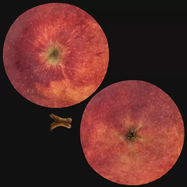 3DSKYFREE – PBR – TEXTURES - MATERIAL