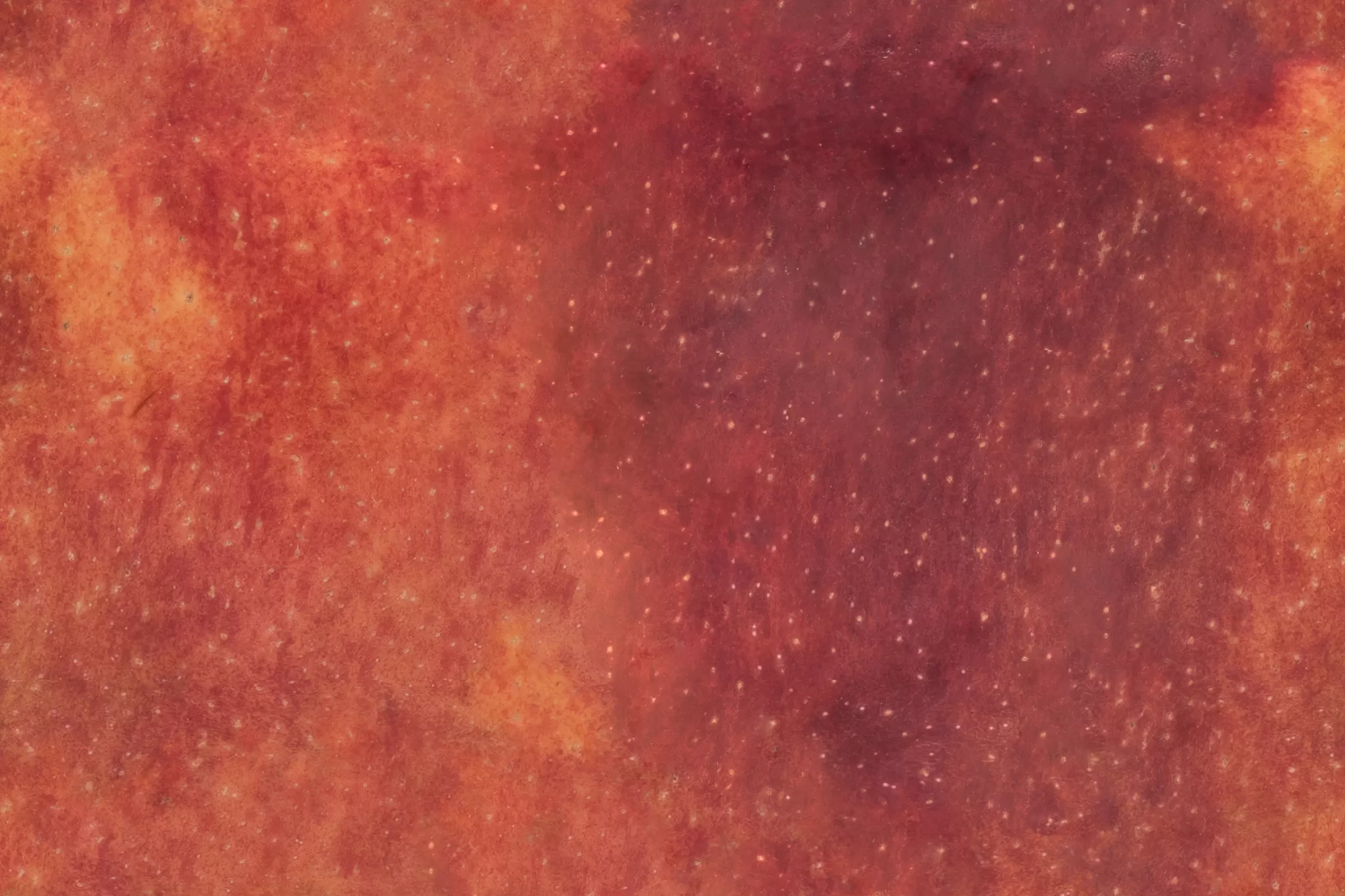 3DSKYFREE – PBR – TEXTURES - MATERIAL