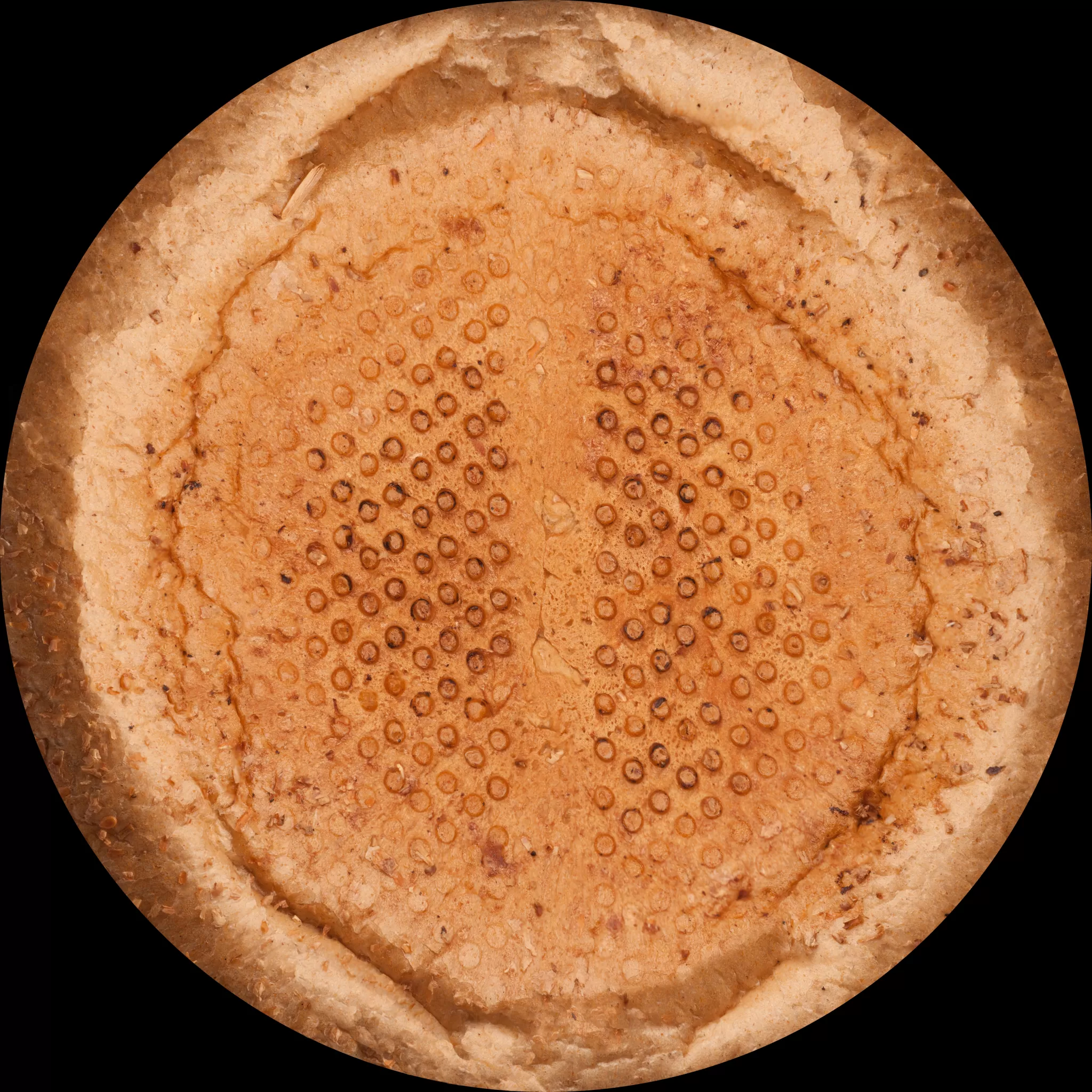 3DSKYFREE – PBR – TEXTURES - MATERIAL