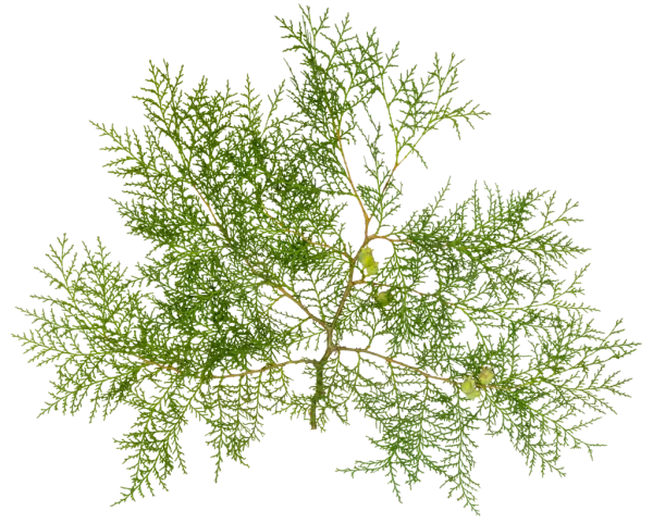 3DSKYFREE – PBR – TEXTURES - MATERIAL