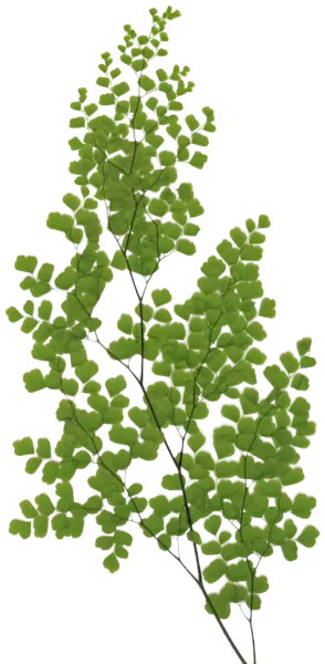 3DSKYFREE – PBR – TEXTURES - MATERIAL