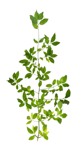 3DSKYFREE – PBR – TEXTURES - MATERIAL