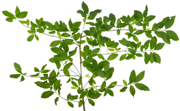 3DSKYFREE – PBR – TEXTURES - MATERIAL