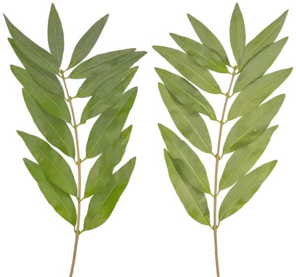 3DSKYFREE – PBR – TEXTURES - MATERIAL