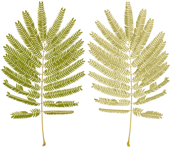 3DSKYFREE – PBR – TEXTURES - MATERIAL