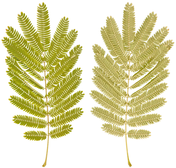 3DSKYFREE – PBR – TEXTURES - MATERIAL