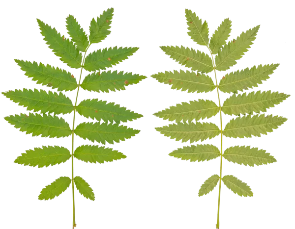 3DSKYFREE – PBR – TEXTURES - MATERIAL