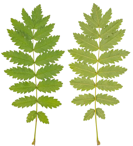 3DSKYFREE – PBR – TEXTURES - MATERIAL