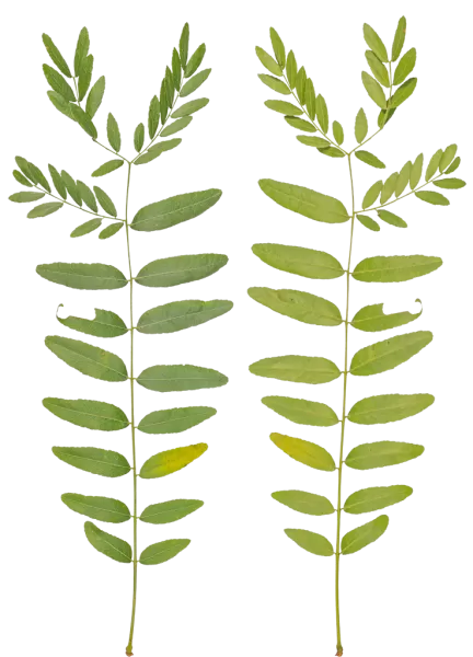 3DSKYFREE – PBR – TEXTURES - MATERIAL