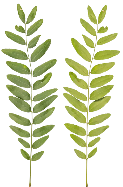 3DSKYFREE – PBR – TEXTURES - MATERIAL