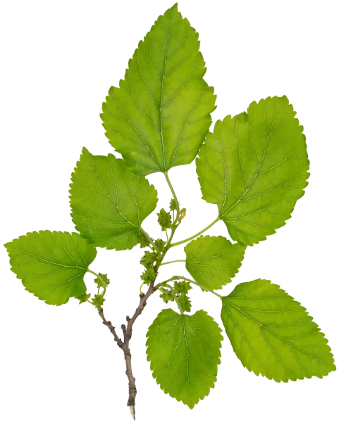 3DSKYFREE – PBR – TEXTURES - MATERIAL