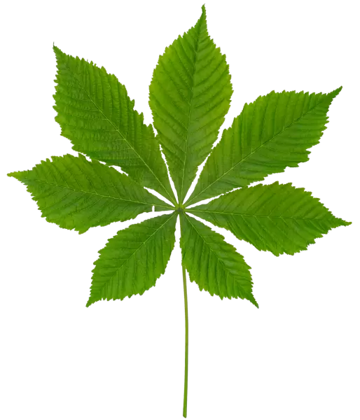 3DSKYFREE – PBR – TEXTURES - MATERIAL