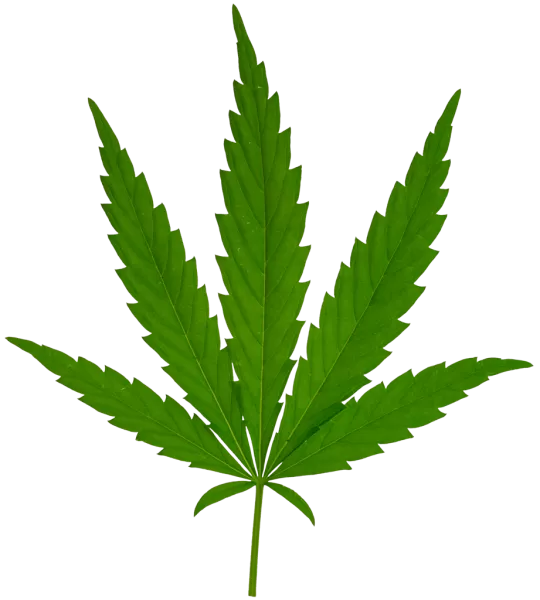 3DSKYFREE – PBR – TEXTURES - MATERIAL