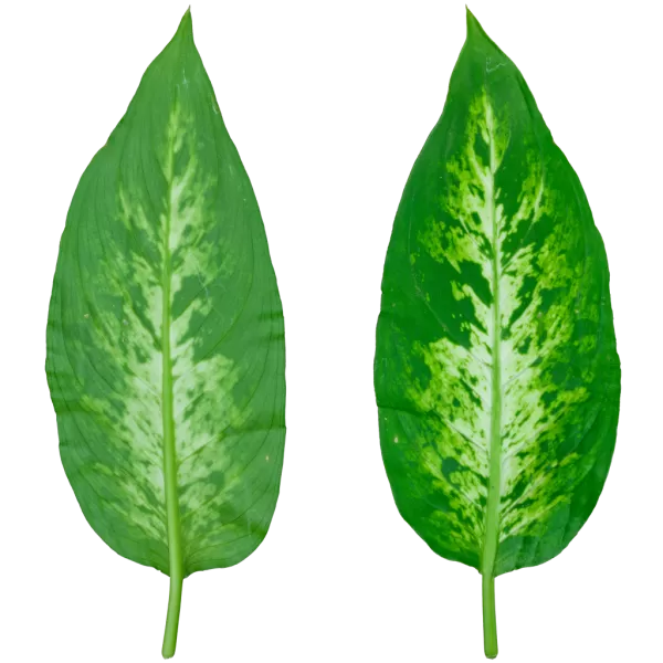 3DSKYFREE – PBR – TEXTURES - MATERIAL