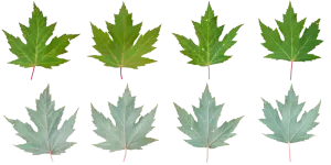 3DSKYFREE – PBR – TEXTURES - MATERIAL