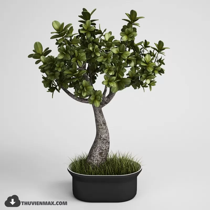 3DSKYFREE – PLANT 3DS MAX MODELS
