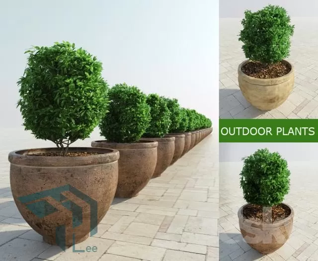 3DSKYFREE – PLANT 3DS MAX MODELS