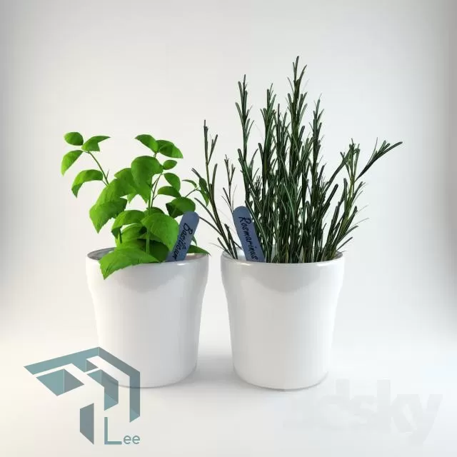 3DSKYFREE – PLANT 3DS MAX MODELS