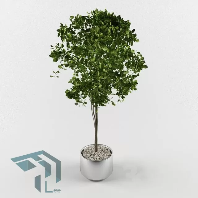 3DSKYFREE – PLANT 3DS MAX MODELS