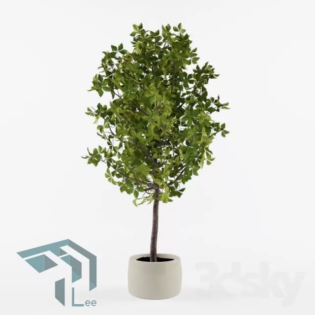 3DSKYFREE – PLANT 3DS MAX MODELS