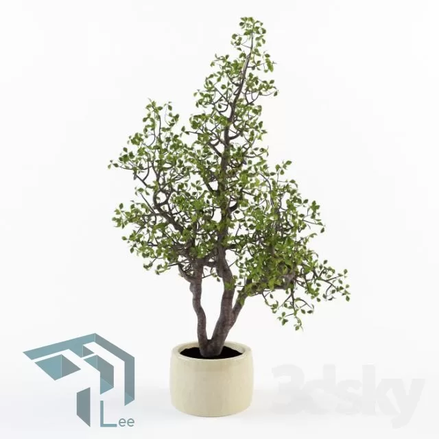 3DSKYFREE – PLANT 3DS MAX MODELS