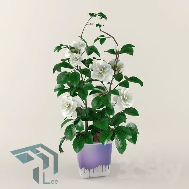 3DSKYFREE – PLANT 3DS MAX MODELS