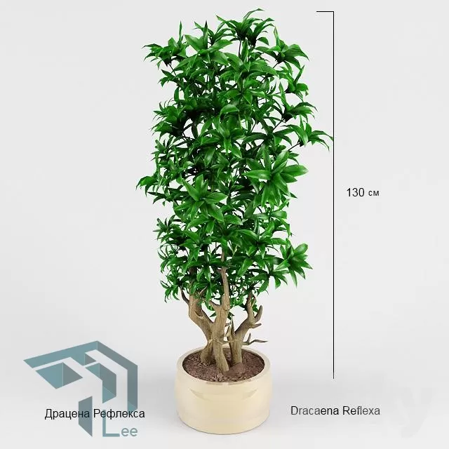 3DSKYFREE – PLANT 3DS MAX MODELS