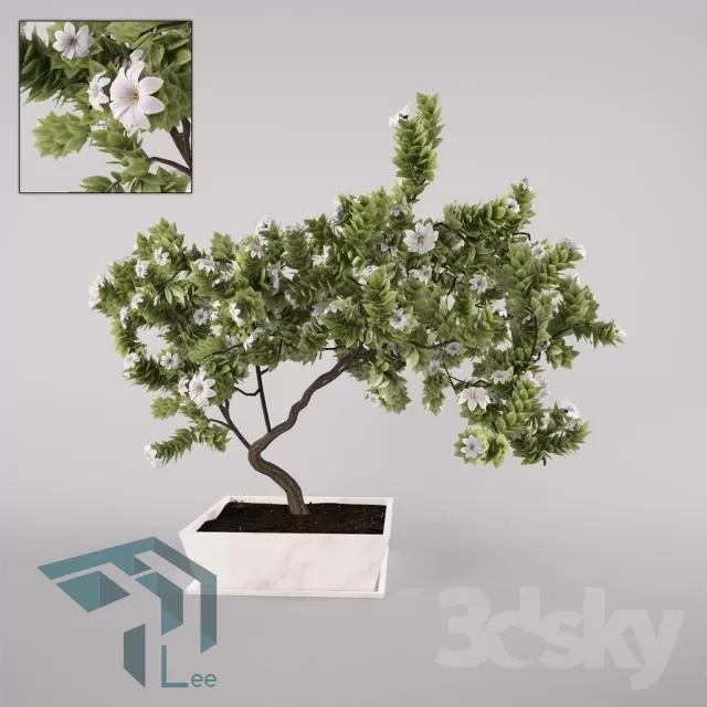 3DSKYFREE – PLANT 3DS MAX MODELS