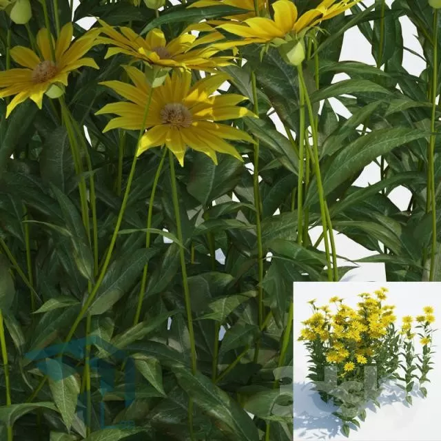 3DSKYFREE – PLANT 3DS MAX MODELS