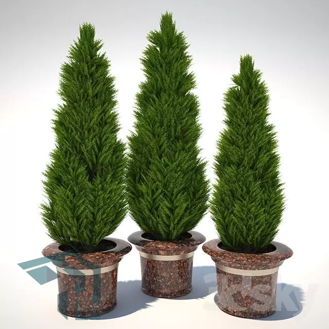 3DSKYFREE – PLANT 3DS MAX MODELS
