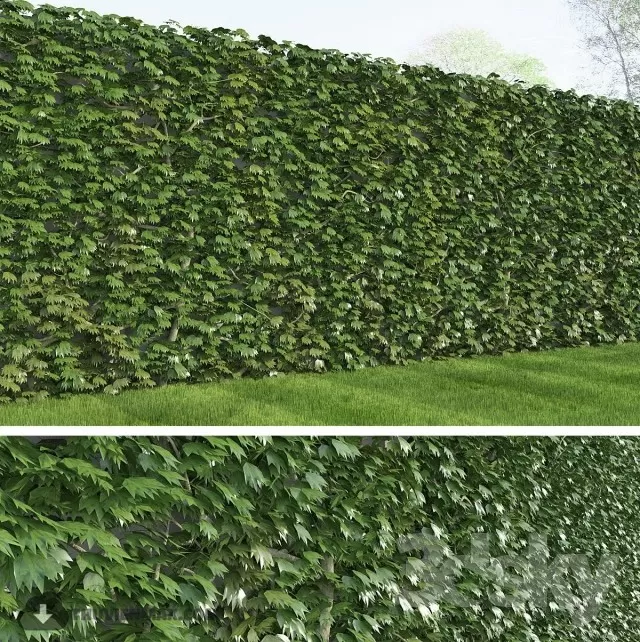 3DSKYFREE – PLANT 3DS MAX MODELS