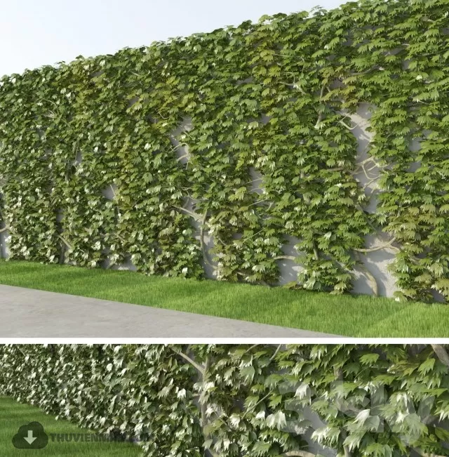 3DSKYFREE – PLANT 3DS MAX MODELS