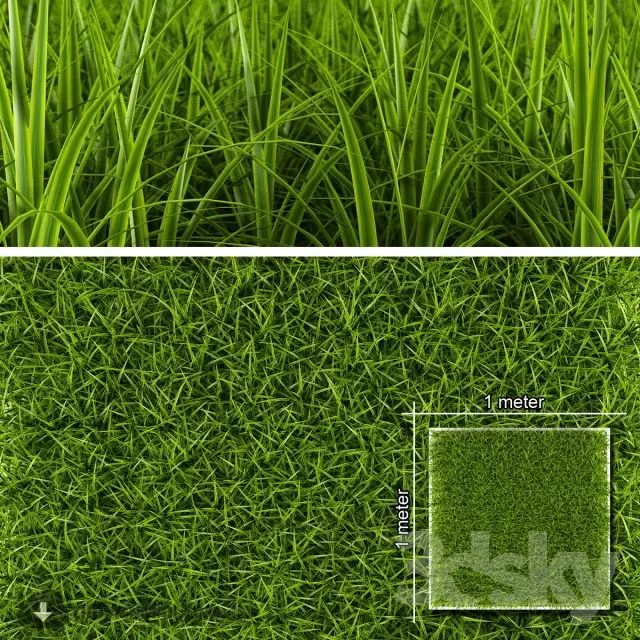 3DSKYFREE – PLANT 3DS MAX MODELS