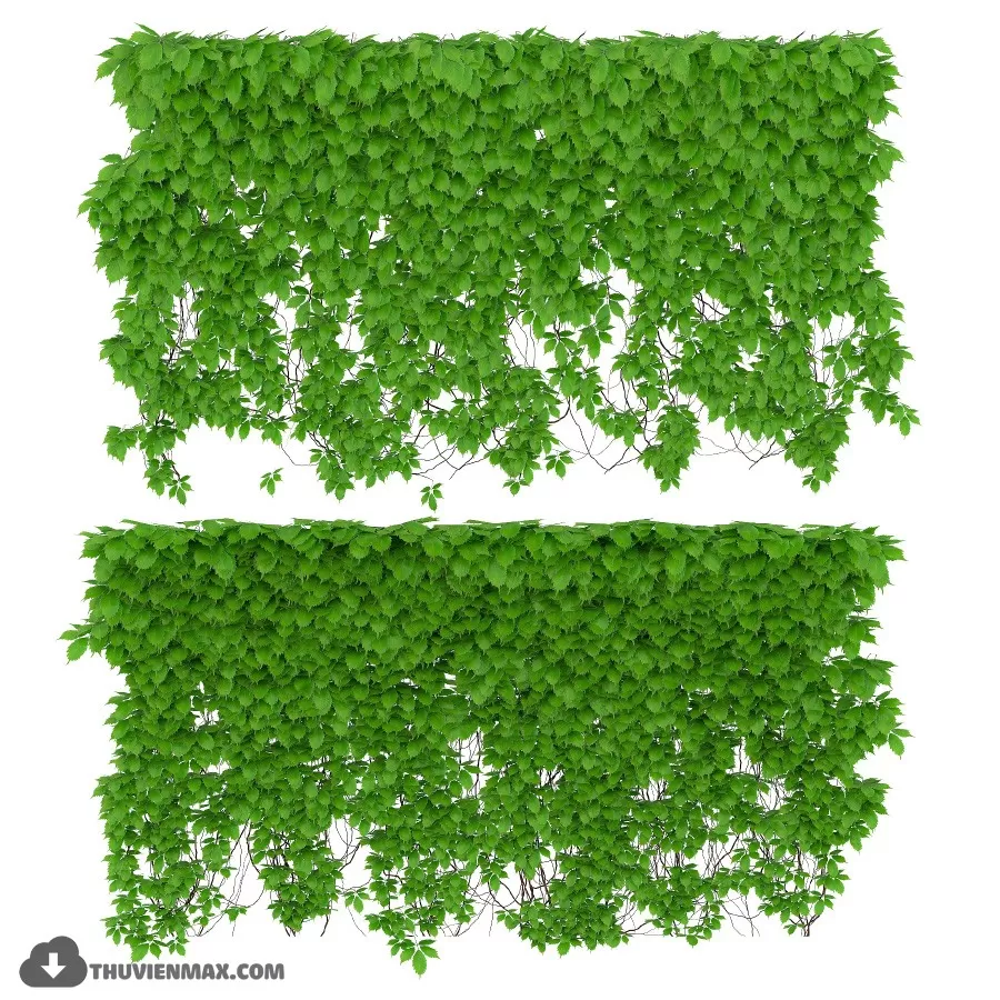 PLANT 3D MODELS