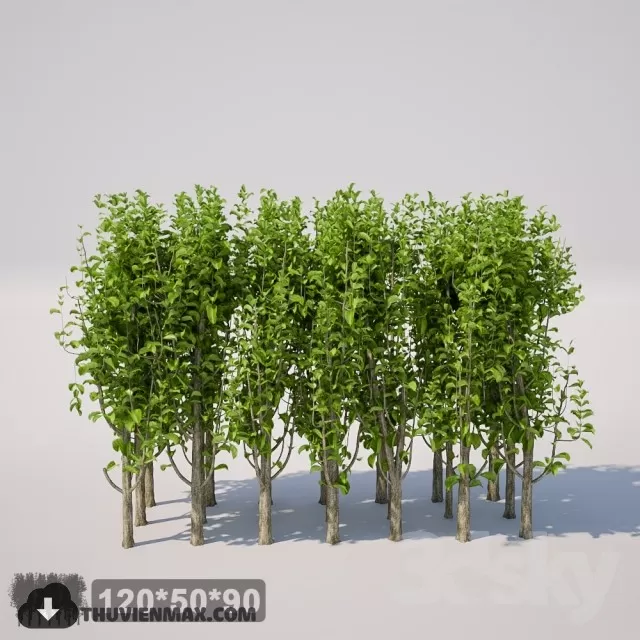 3DSKYFREE – PLANT 3DS MAX MODELS
