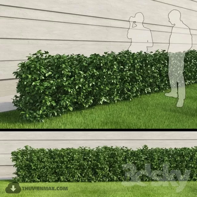 3DSKYFREE – PLANT 3DS MAX MODELS