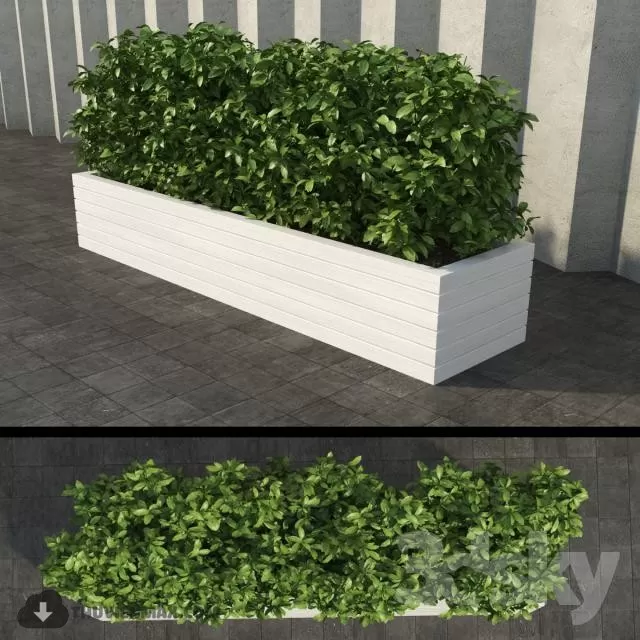 3DSKYFREE – PLANT 3DS MAX MODELS