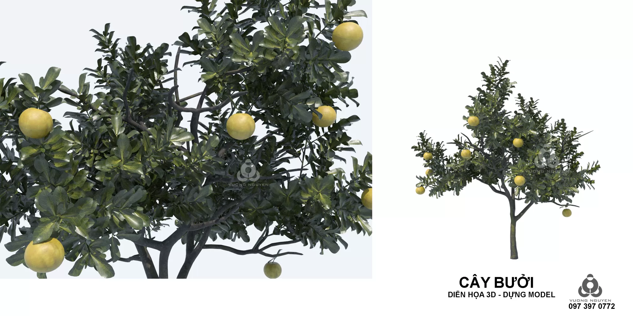 3DSKYFREE – PLANT 3DS MAX MODELS