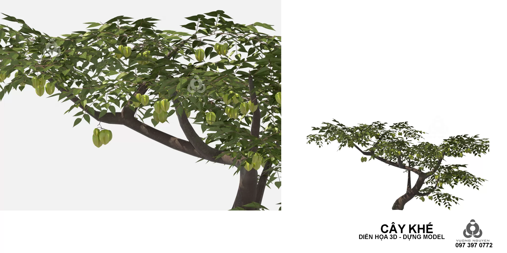 3DSKYFREE – PLANT 3DS MAX MODELS