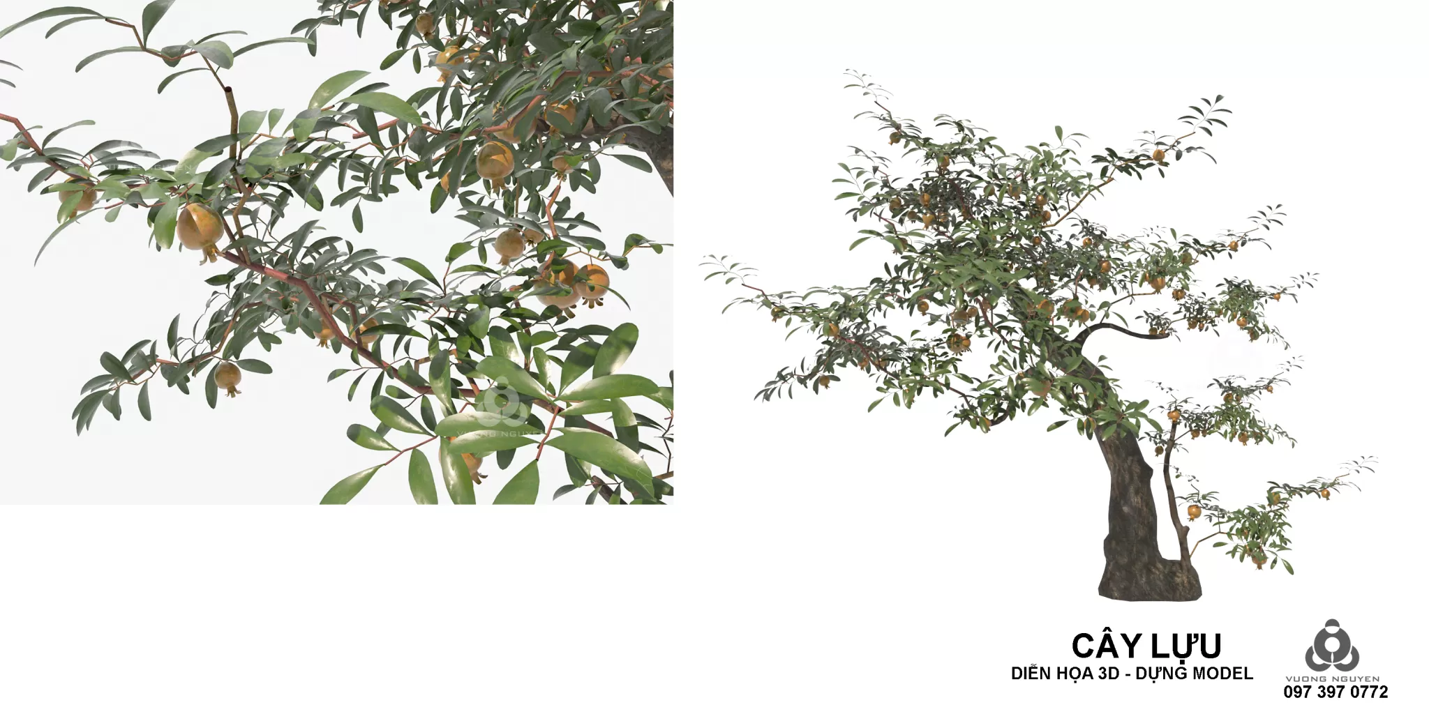 3DSKYFREE – PLANT 3DS MAX MODELS