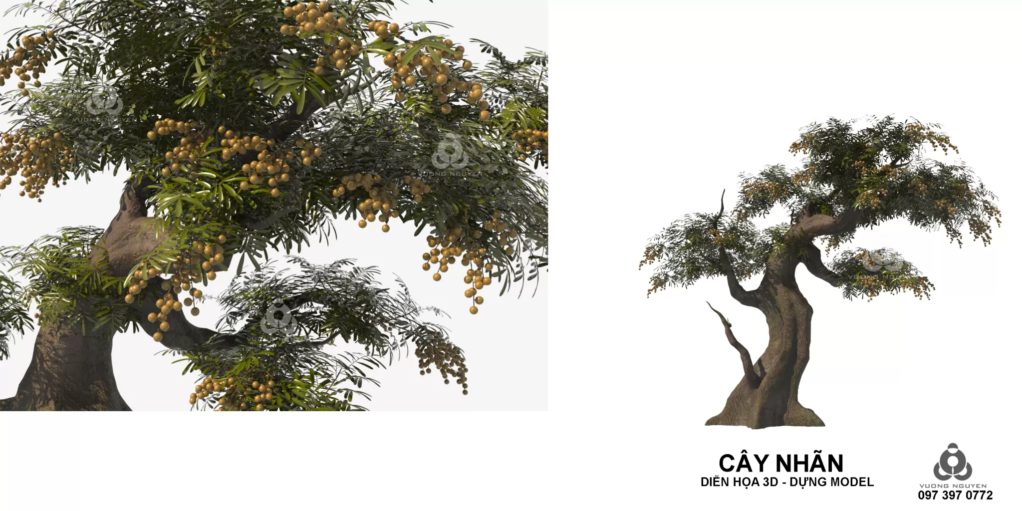 3DSKYFREE – PLANT 3DS MAX MODELS