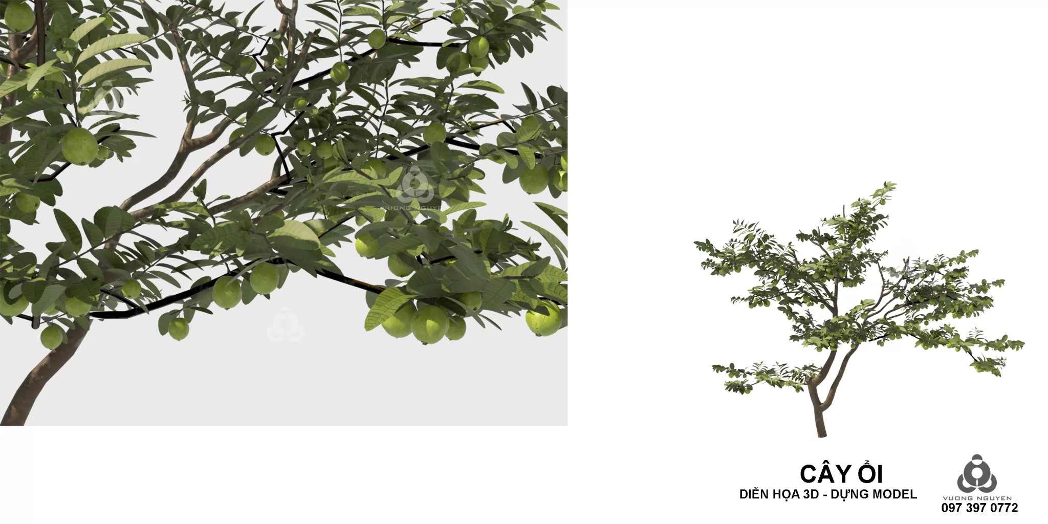 3DSKYFREE – PLANT 3DS MAX MODELS