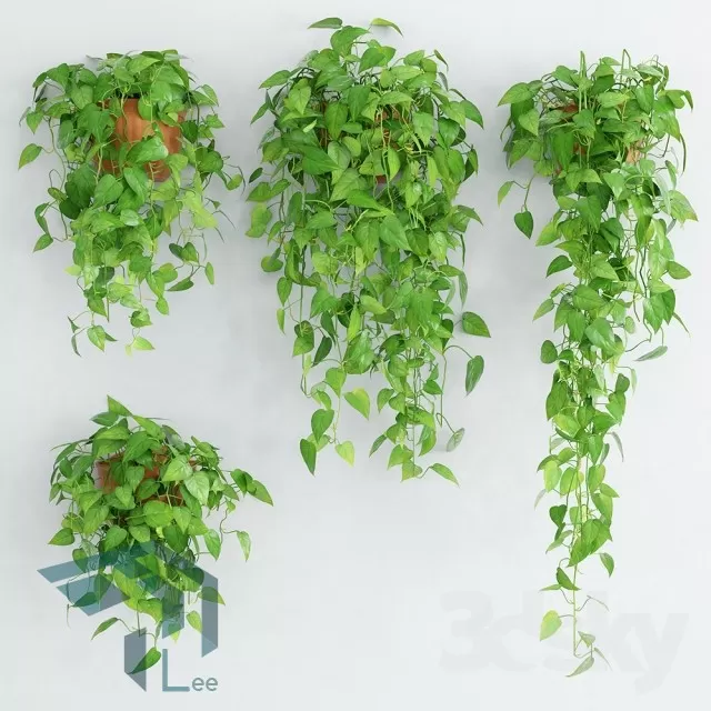 3DSKYFREE – PLANT 3DS MAX MODELS