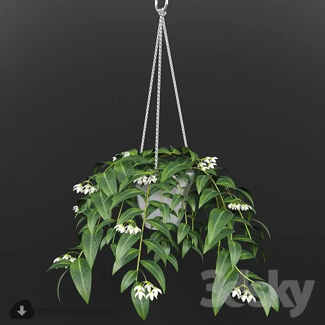 3DSKYFREE – PLANT 3DS MAX MODELS