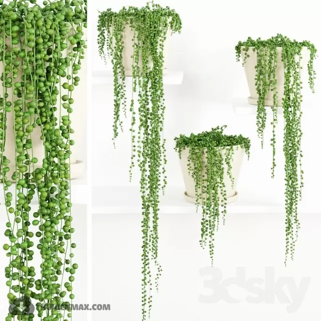 3DSKYFREE – PLANT 3DS MAX MODELS