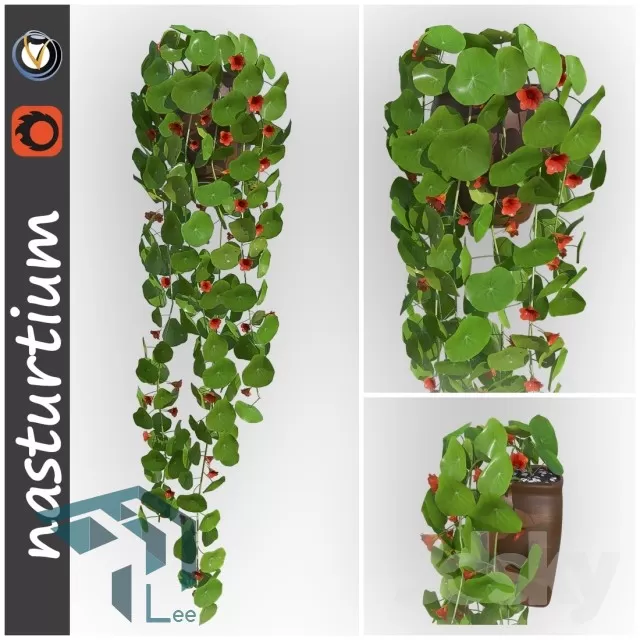 PLANT 3D MODELS