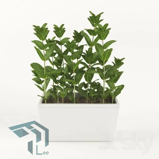 PLANT 3D MODELS