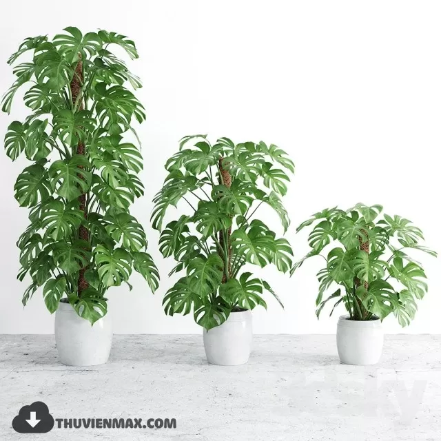 3DSKYFREE – PLANT 3DS MAX MODELS